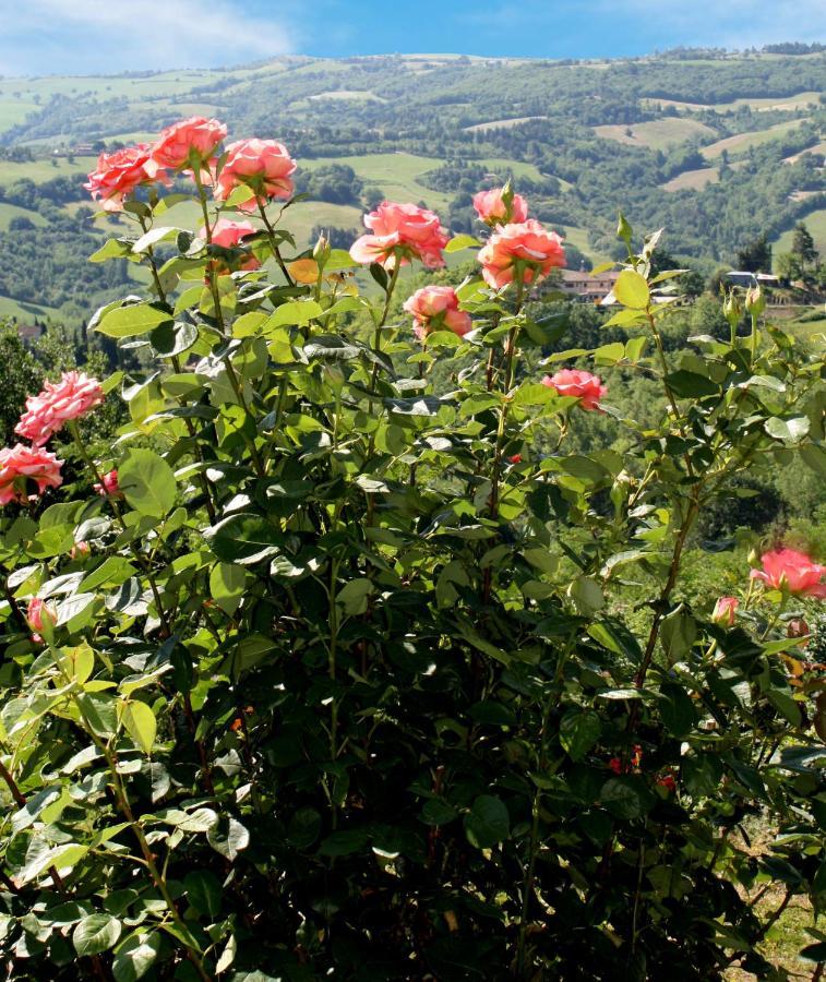 Country House Ca' Vernaccia Guest House Urbino Exterior photo