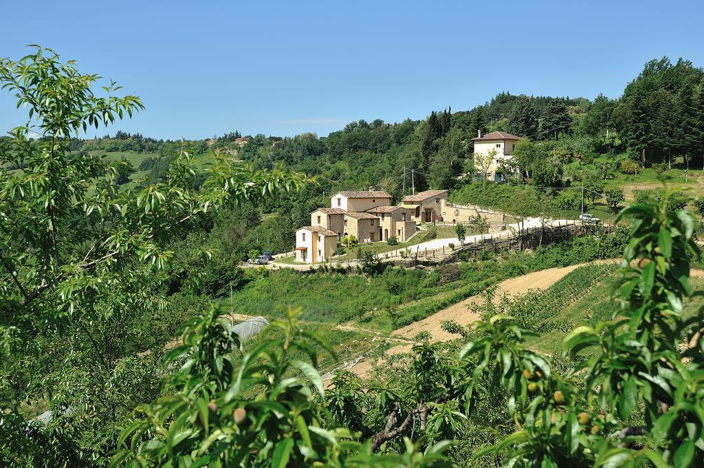 Country House Ca' Vernaccia Guest House Urbino Exterior photo