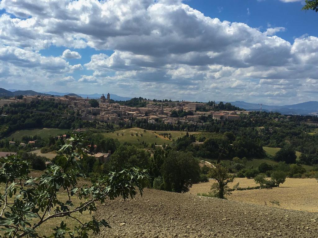 Country House Ca' Vernaccia Guest House Urbino Exterior photo
